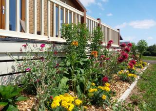 Otters Mead Boutique Lodges - Beetley - 6