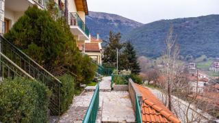 Strix Aluco Kalavryta - 1