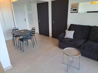 Iconic 343 , Superbe T2 climatisé, wifi, parking, terrasse 18m2 - 4