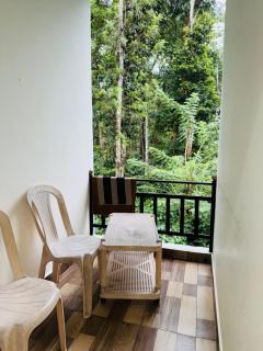 Greenhouse Homestay - 8