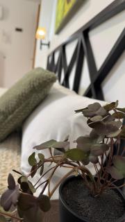 Apartamentos Alcazar de Baeza - 2