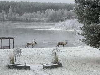 Lapland Riverside Home - 2
