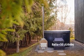 Dom w Starkowie, Sauna i Balia - 9