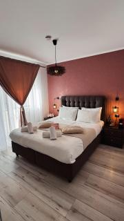 Transylvania Mountain View CDI - 8