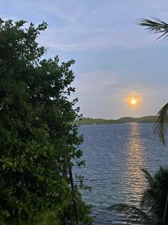 Maison confortable avec jardin au Robert, 40 m², climatisation - 9