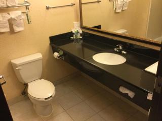 Holiday Inn Express & Suites Longview South I-20 by IHG - Longview - 6