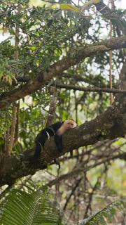 Cabaña Vacal Wifi, beach front #2 - 8