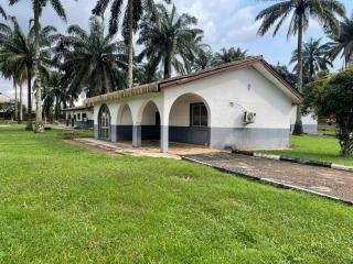 Precious Palm Royal Hotel - 2