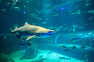 Nossa Copacabana: Praia e Privativo - 5