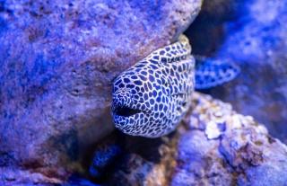 Nossa Copacabana: Praia e Privativo - 4