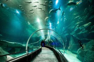 Nossa Copacabana: Praia e Privativo - 2