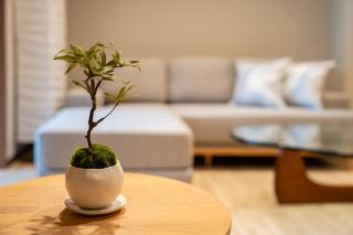 Den SUSUKINO URBAN RESIDENCE - 4