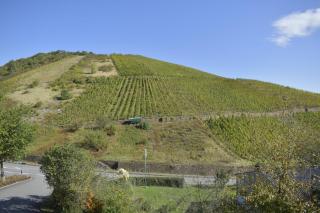 Ferienwohnung Emmerich - 4