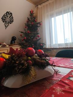 Apartamenty HAWOK - 1