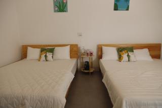 Homestay Sỹ Vĩnh Hy - 5