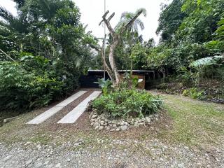 Cahuitas red frog house - 9