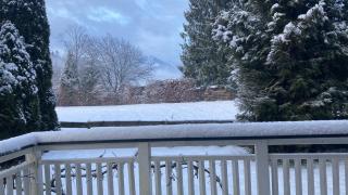 Sissy Appartment - 2