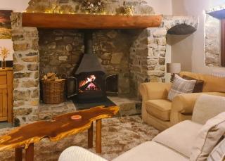 Garnffrwd Cottages - 9