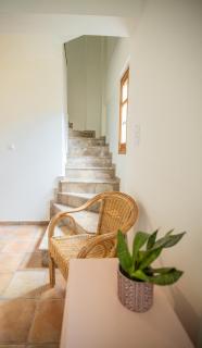 Strix Aluco Kalavryta - 7