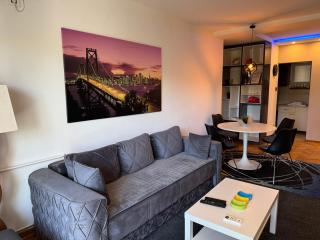 Apartment Vračar - 7