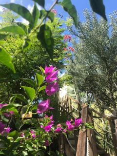 La Maison des Rêves Pool La Saline Les Bains - 5