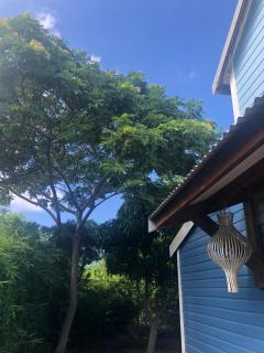 La Maison des Rêves Pool La Saline Les Bains - 2