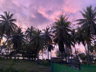 Punahere lodge Ohotu - 4