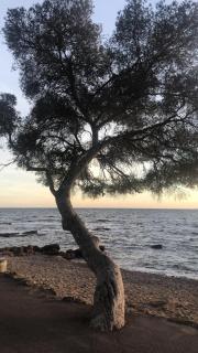 Appartement 2 pers au calme à boulouris - Saint-Raphaël - 5