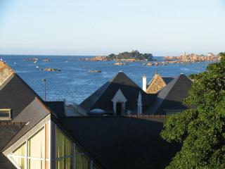 Superbe appartement duplex au centre de TREGASTEL vue sur mer - Réf 745 - 1