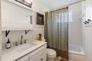 The Little Lone Star - 4