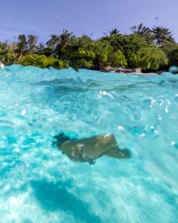 Your Island Gateway - Kirulhiya Omadhoo - 9