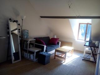 Chambre spacieuse proche du centre ville - 4