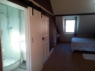 Chambre spacieuse proche du centre ville - 3