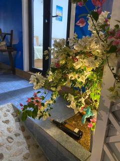 BLUE HOUSE Vĩnh Hy - 5