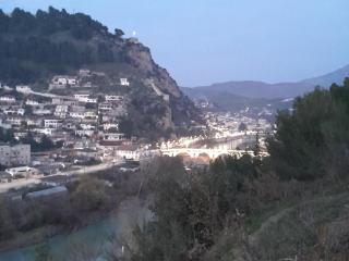 bujtina musta - Berat - 8