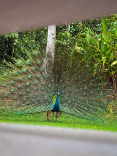 Serene View Lodge - 6