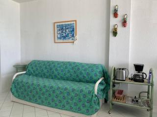 Appartement VUE SUR MER avec terrasse, plage Grève Blanche TREGASTEL - Réf 791 - 2