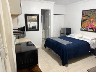 My Garden in Miami Florida - 1