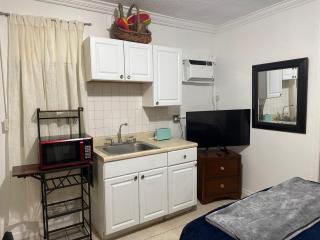 My Garden in Miami Florida - 2