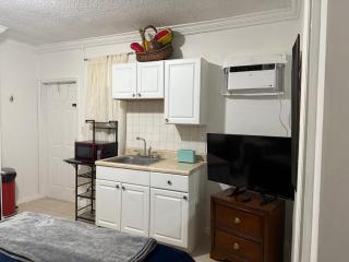 My Garden in Miami Florida - 3