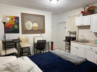 My Garden in Miami Florida - 5