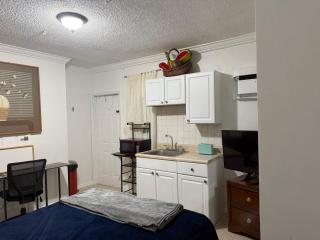 My Garden in Miami Florida - 6