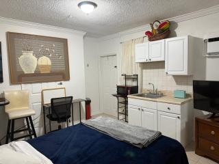 My Garden in Miami Florida - 7