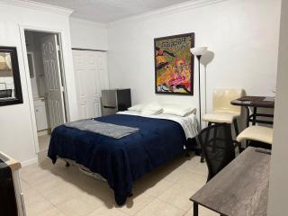 My Garden in Miami Florida - 8