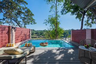 Wild Forest Sasan Gir Wildlife sanctuary - 1