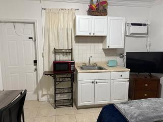 My Garden in Miami Florida - 9