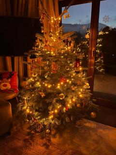 LAWENDOWA PRZYSTAŃ - dom nad rzeką - Brenna, 10 osób, sauna, balia z jacuzzi, ogród, plac zabaw - 8