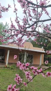 Quinta Alquimia Quintasdelsur en San Vicente - 5