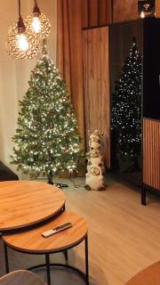 Apartmán Lottner - 0