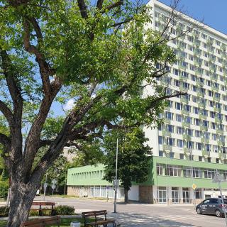 Yantra Tower Studio Maya - 6